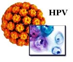 kako-se-prenosi-hpv-infekcija